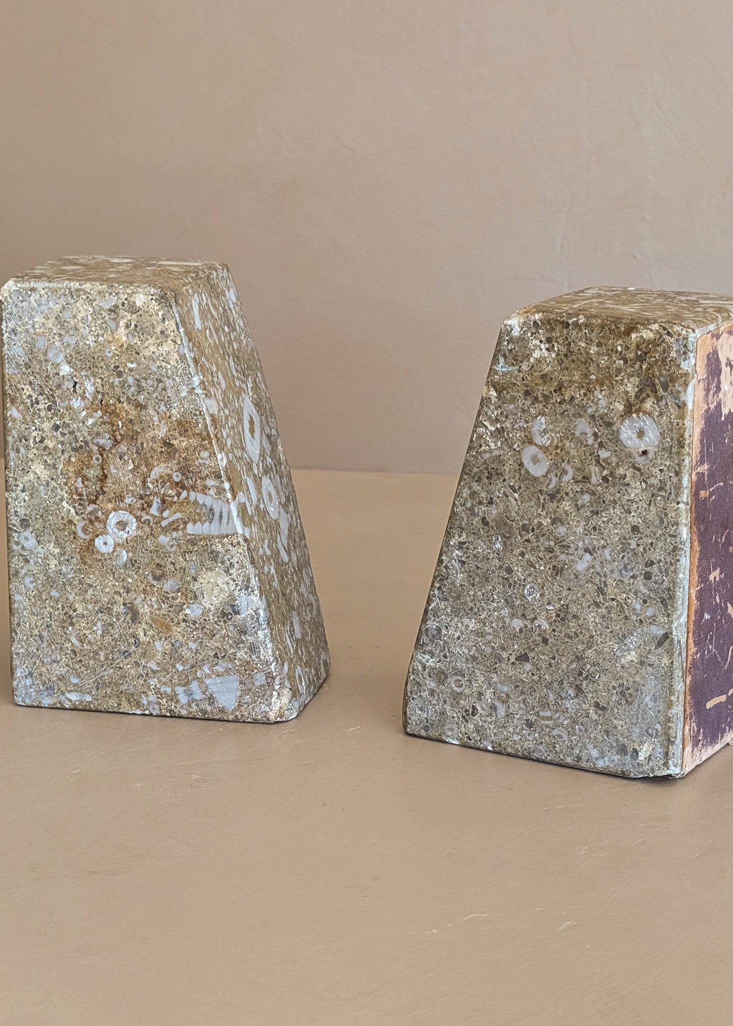 Rare Pair of Unique Vintage Fossilized Crinoid (Sea Lilies) Bookends