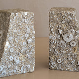 Rare Pair of Unique Vintage Fossilized Crinoid (Sea Lilies) Bookends