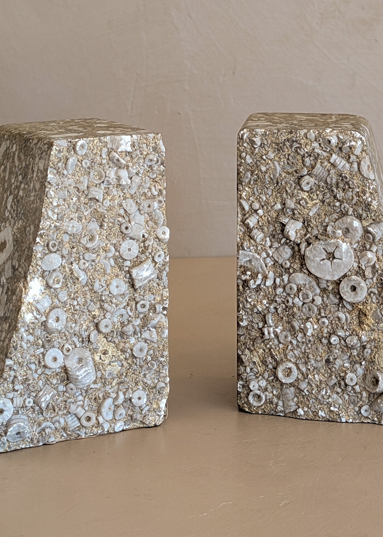 Rare Pair of Unique Vintage Fossilized Crinoid (Sea Lilies) Bookends