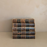 Set of 5 Leather-Bound "The Dramatic Works of William Shakspeare" Books with Plates from the 1850s