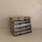 Set of 5 Leather-Bound "The Dramatic Works of William Shakspeare" Books with Plates from the 1850s