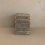 Set of 5 Leather-Bound "The Dramatic Works of William Shakspeare" Books with Plates from the 1850s
