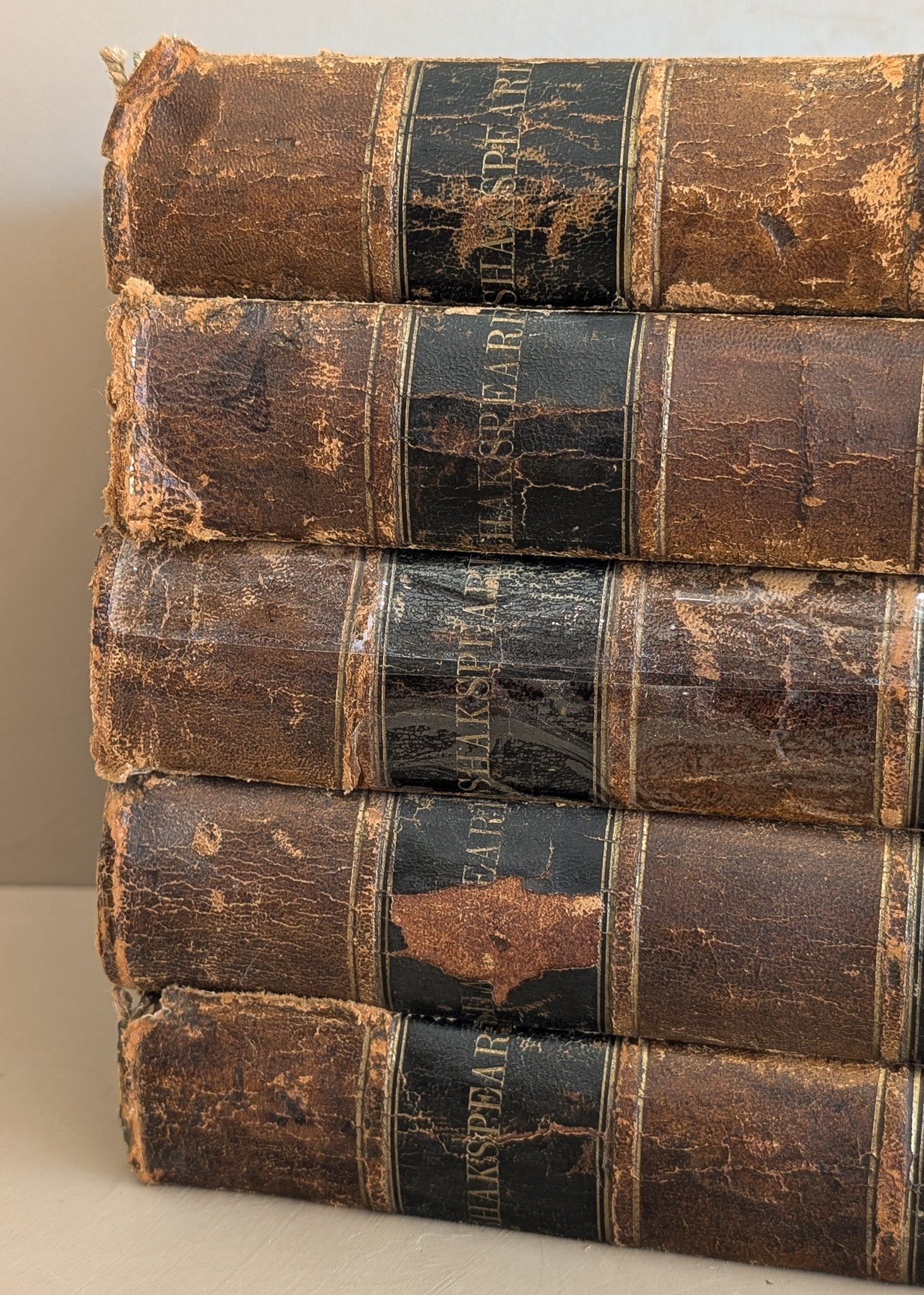 Set of 5 Leather-Bound "The Dramatic Works of William Shakspeare" Books with Plates from the 1850s