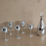 Vintage Hand-Blown and Hand-Cut Silvered Decanter and 5 Matching Wine Glasses with Floral Detailing